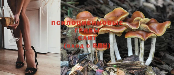 мет Алзамай