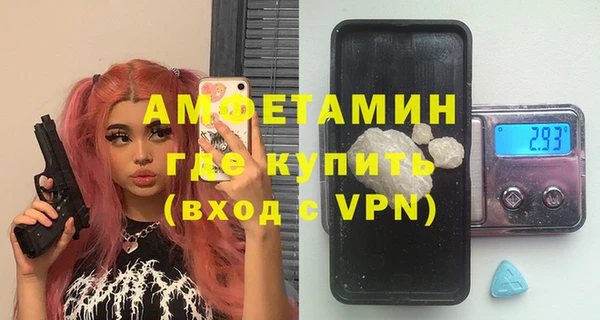 ешки Алексин