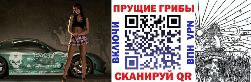 хочу   Новозыбков  Псилоцибиновые грибы ЛСД 