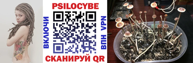 Псилоцибиновые грибы MAGIC MUSHROOMS Новозыбков