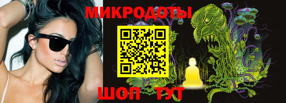 купить  цена  Псилоцибиновые грибы ЛСД  Вход с VPN  Новозыбков 